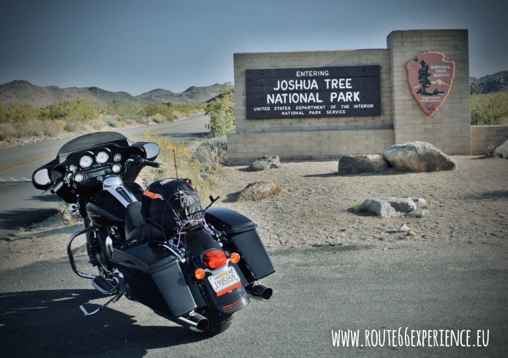 Joshua Tree National Park. Viajes guiados en moto organizados por Route 66 Experience, la empresa líder en viajes por USA.