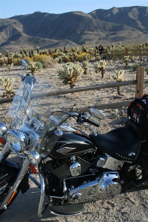 Viaje en moto por Joshua Tree, Viajes guiados en moto