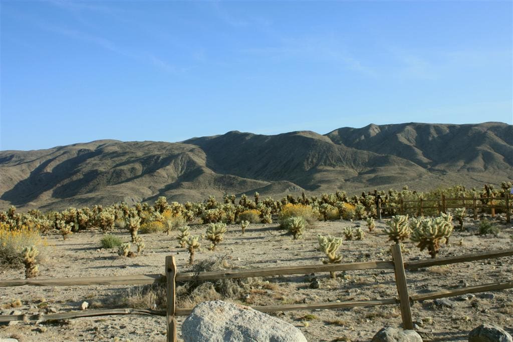 Vistas de Joshua Tree