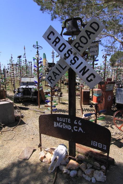 Bottle Tree Ranch