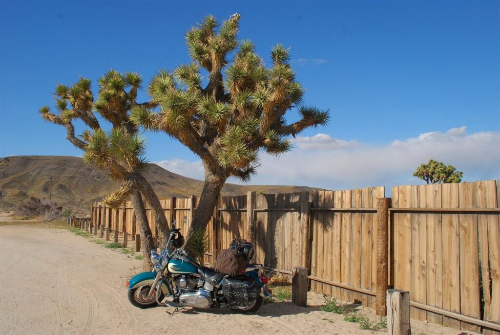 Joshua Tree Pionner Town. Rutas en moto por USA