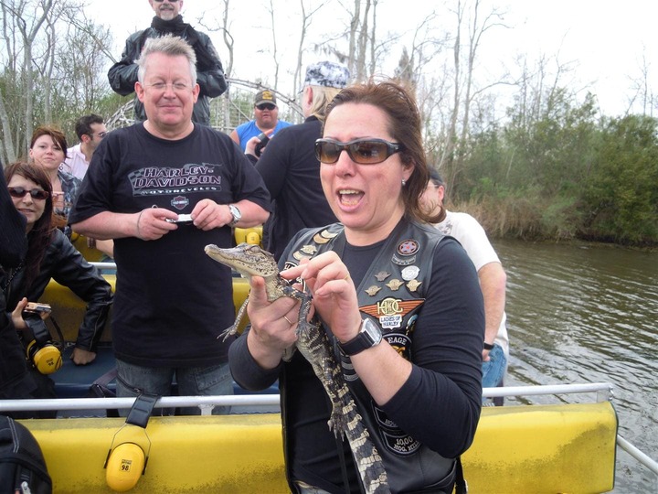 Cocodrilo, Swamp Tour New Orleans