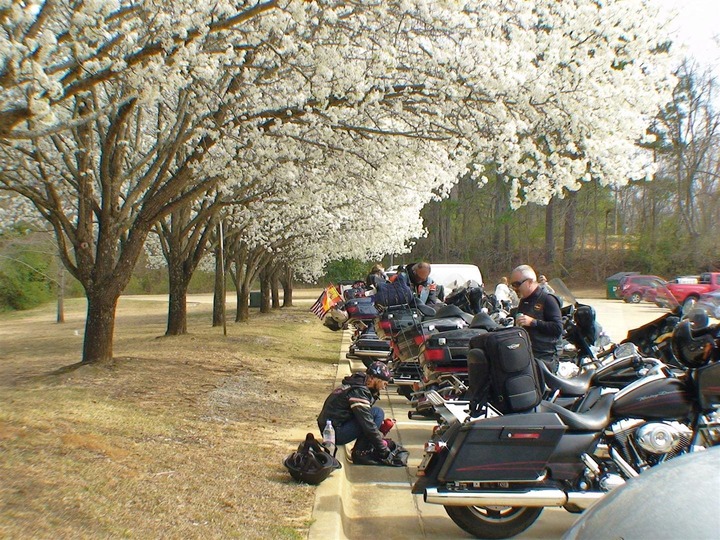 Parking en Tupelo. Viaje en moto por Estados Unidos