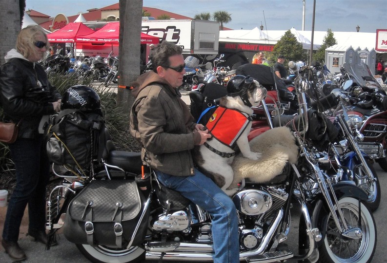 Bikers en Daytona Bike Week. Viaje en moto por Estados Unidos