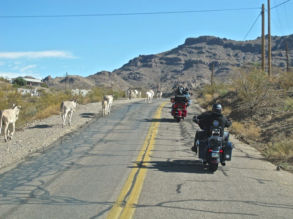 Mother Road, route 66 Experience. Viajes en grupo por USA