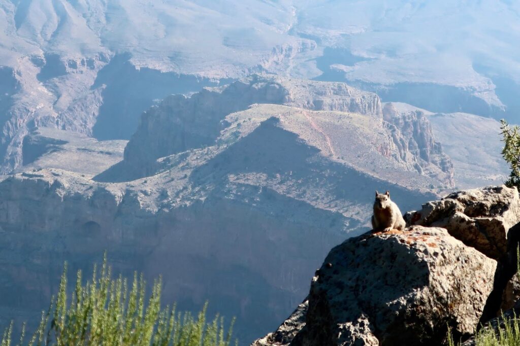 Gran Cañón, Viaje en moto por USA