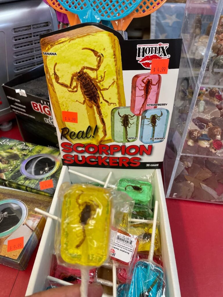 Scorpion Suckers