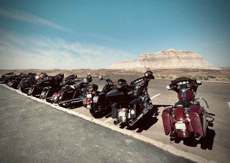 Petrified Forest National Park