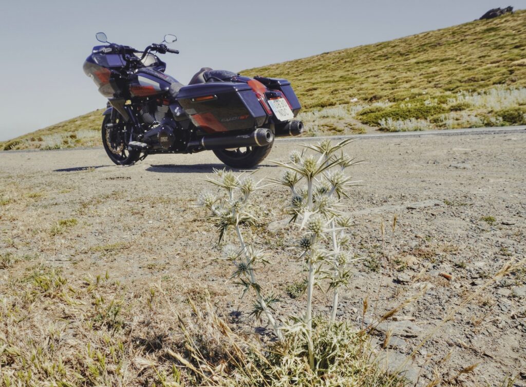 Road Glide CVO ST